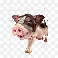 �ֻ涯����-������