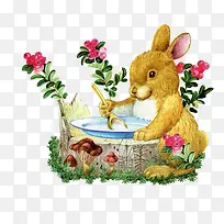 手绘动物-空若网 手绘动物-空若网