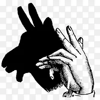 �ֻ���Ӱ������-������