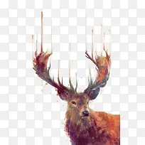 麋鹿手绘插画-空若网 麋鹿手绘插画-空若网