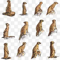 ʸ���ƺ���-������