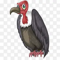 手绘秃鹫-空若网 手绘秃鹫-空若网