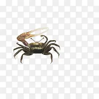 �ֻ��з-������