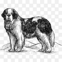 手绘狗-空若网 手绘狗-空若网