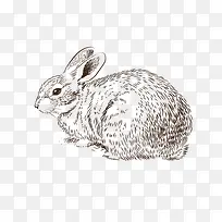 �ֻ�����-������