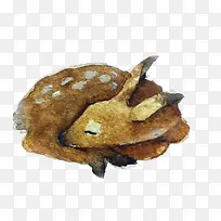 �ֻ涯��-������