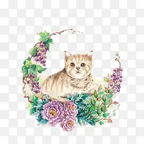 �ֻ�Сè-������