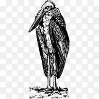 �ֻ���-������