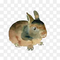 手绘水彩兔子-空若网 手绘水彩兔子-空若网