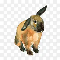 ÊÖ»æË®²ÊÍÃ×Ó-¿ÕÈôÍø ÊÖ»æË®²ÊÍÃ×Ó-¿ÕÈôÍø