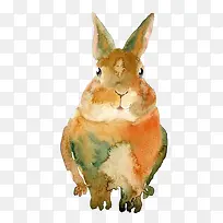 �ֻ�ˮ������-������