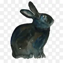 ˮ���ֻ�����-������