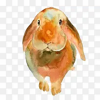 手绘水彩兔子-空若网 手绘水彩兔子-空若网