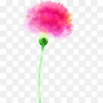 手绘粉色卡通康乃馨花朵-空若网 手绘粉色卡通康乃馨花朵-空若网