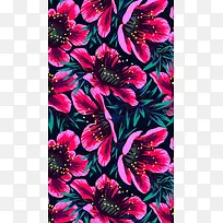 �ֻ�廭��ɫ����-������