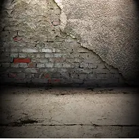 ����ǽ�ڱ���-������