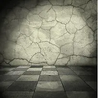 �ذ���ǽ����Ӱ-������