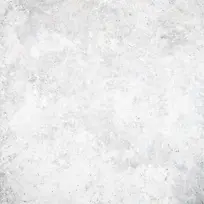 ǽ�ڱ�������-������