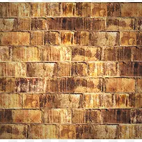 שǽ����-������