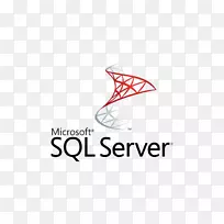 microsoft sql server windows server 2008 r2���ݿ��������������������-������