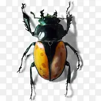 ɭ�ֿ�ͨ����ͼƬ-������