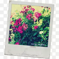 �������ÿ�-���ÿ�-������