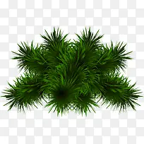 绿色手绘圣诞节植物装饰-空若网 绿色手绘圣诞节植物装饰-空若网