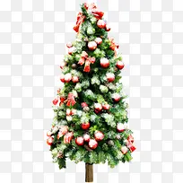 ÂÌɫֲÎïÊ¥µ®½Ú×°ÊÎ-¿ÕÈôÍø ÂÌɫֲÎïÊ¥µ®½Ú×°ÊÎ-¿ÕÈôÍø