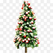 ÂÌɫֲÎïÊ¥µ®½Ú×°Êκ£±¨-¿ÕÈôÍø ÂÌɫֲÎïÊ¥µ®½Ú×°Êκ£±¨-¿ÕÈôÍø