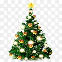 Ê¥µ®½ÚÖ²Îï×°Êκ£±¨-¿ÕÈôÍø Ê¥µ®½ÚÖ²Îï×°Êκ£±¨-¿ÕÈôÍø