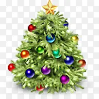 Ê÷Ê¥µ®½ÚÖ²ÎïÆ½°²Ò¹µÄÊ¥µ®½Ú-¿ÕÈôÍø Ê÷Ê¥µ®½ÚÖ²ÎïÆ½°²Ò¹µÄÊ¥µ®½Ú-¿ÕÈôÍø