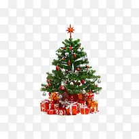 ����ʥ����ֲ��װ��-������