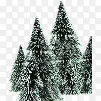 ����ʥ����ֲ���ѩװ��-������