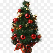 ʥ���ں�ɫ����ֲ��-������