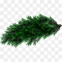 Ê¥µ®½ÚÂÌɫֲÎï¾°¹Û-¿ÕÈôÍø Ê¥µ®½ÚÂÌɫֲÎï¾°¹Û-¿ÕÈôÍø