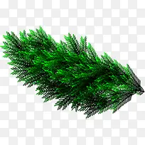 圣诞节绿色植物装饰-空若网 圣诞节绿色植物装饰-空若网