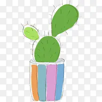 手绘仙人掌-空若网 手绘仙人掌-空若网