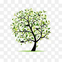 �廭��ɫ��-������