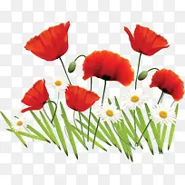 ����ͼ���ز�װ��ͼ��-������