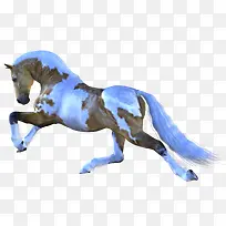 手绘马图片手绘素材-空若网 手绘马图片手绘素材-空若网