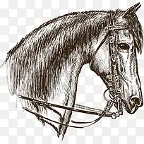 �ֻ�-������