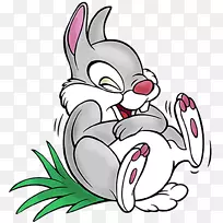 Thumper����������-�û�-������