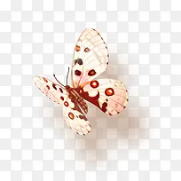 ������-������