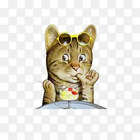 ��ͨ�ֻ洴��è��-������