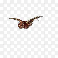 手绘飞行猫头鹰创意-空若网 手绘飞行猫头鹰创意-空若网