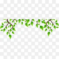 ��Ҷ�߿�-������