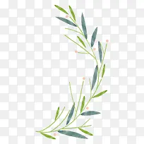 Ë®²Ê»Ö²ÎïÊ÷Ò¶¿¨Í¨Ð§¹û-¿ÕÈôÍø Ë®²Ê»Ö²ÎïÊ÷Ò¶¿¨Í¨Ð§¹û-¿ÕÈôÍø