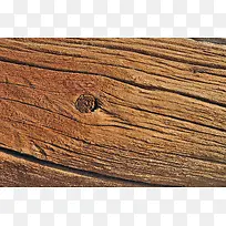 ����ľ�Ʊ���-������