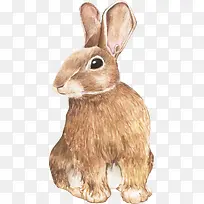 可爱卡通手绘兔子-空若网 可爱卡通手绘兔子-空若网