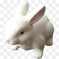 �ɰ�������-������